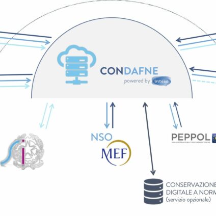 Piattaforma CONDAFNE: uno schema di funzionamento