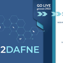 L’esperienza di Consorzio DAFNE al Tavolo Tecnico Indisponibilità di AIFA e il go live di IN2DAFNE