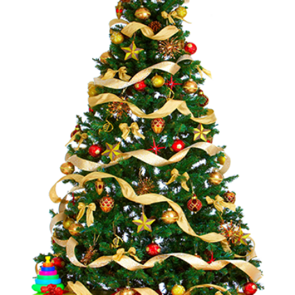 Il Consorzio DAFNE augura Buon Natale