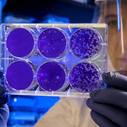“Supporting pharma innovation in Europe”: istituzioni e aziende alla ricerca di soluzioni