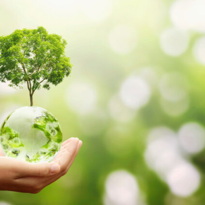 One Health: FAO, UNEP, OMS, WOAH e SACRU insieme per la salvaguardia della salute umana, animale, vegetale e degli ecosistemi